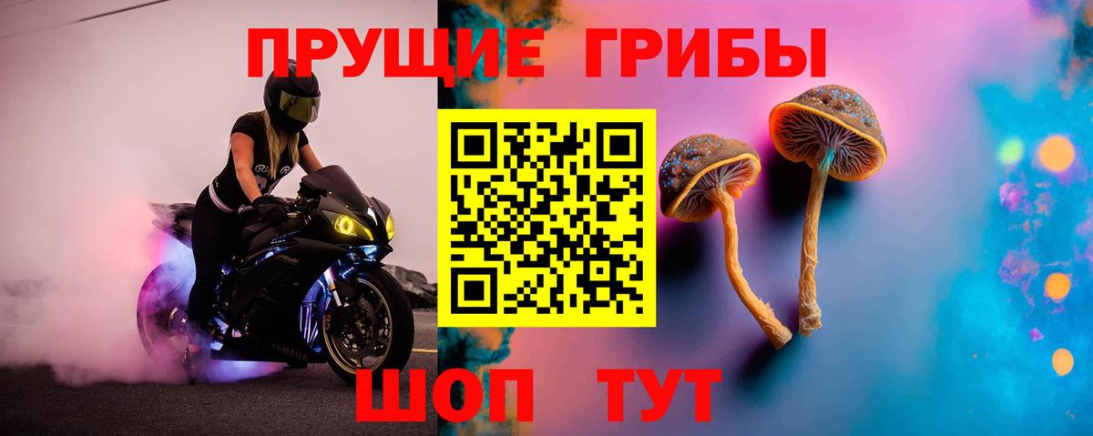 Галлюциногенные грибы мицелий Ливны