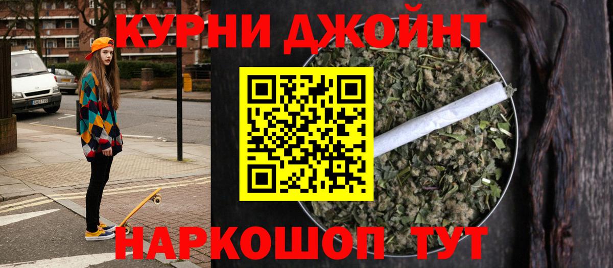Конопля сатива Ливны